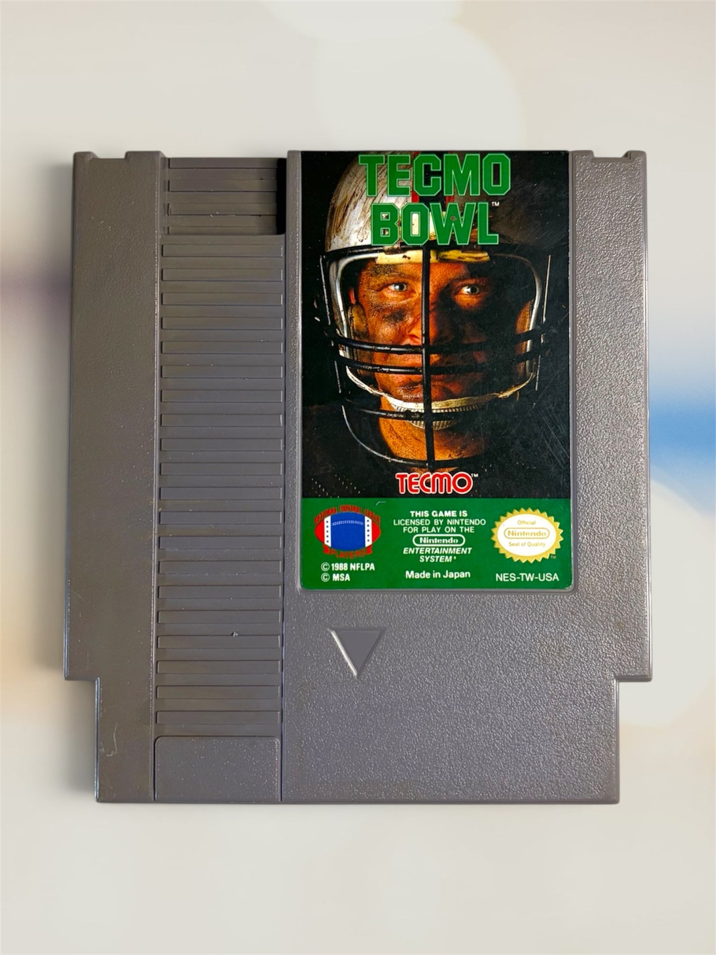Tecmo Bowl